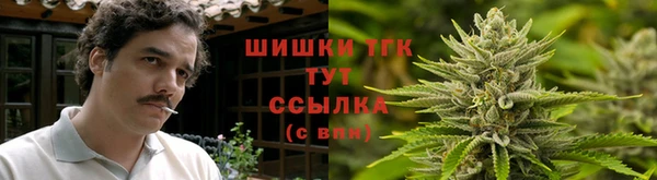 spice Алексин